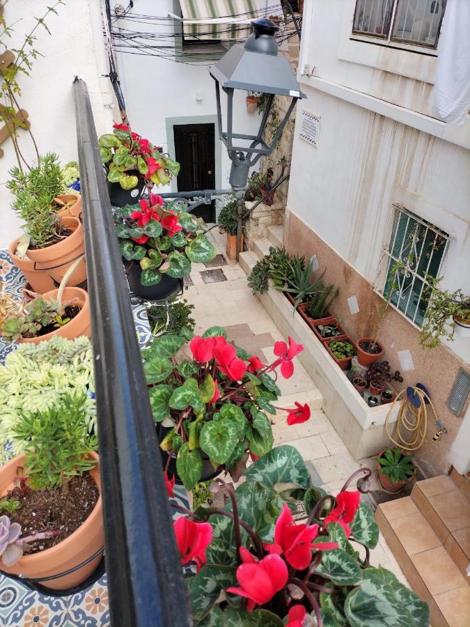 אליקאנטה Private Terrace-Romantic-Sea, Castle Views-Central מראה חיצוני תמונה
